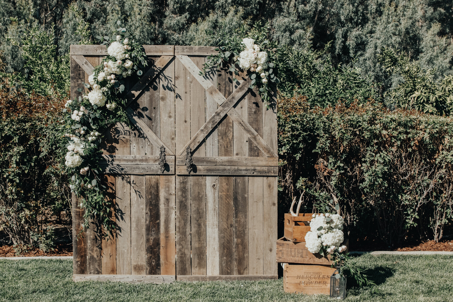 chico photographer, portrait photographer, chico portrait photographer, Chico California wedding photographer, northern California wedding photographer, wedding photographer