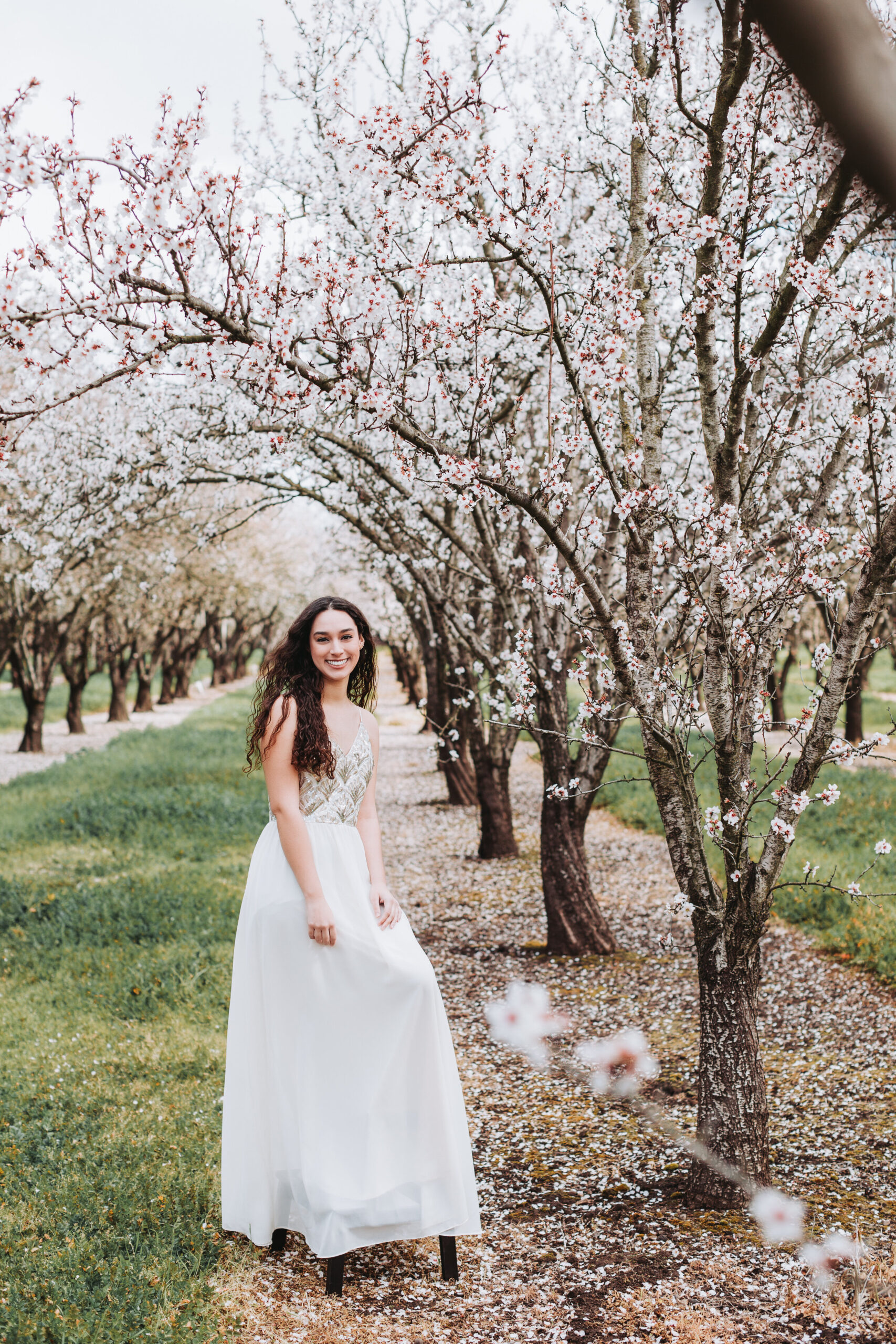 chico photographer, portrait photographer, chico portrait photographer, Chico California wedding photographer, northern California wedding photographer, wedding photographer