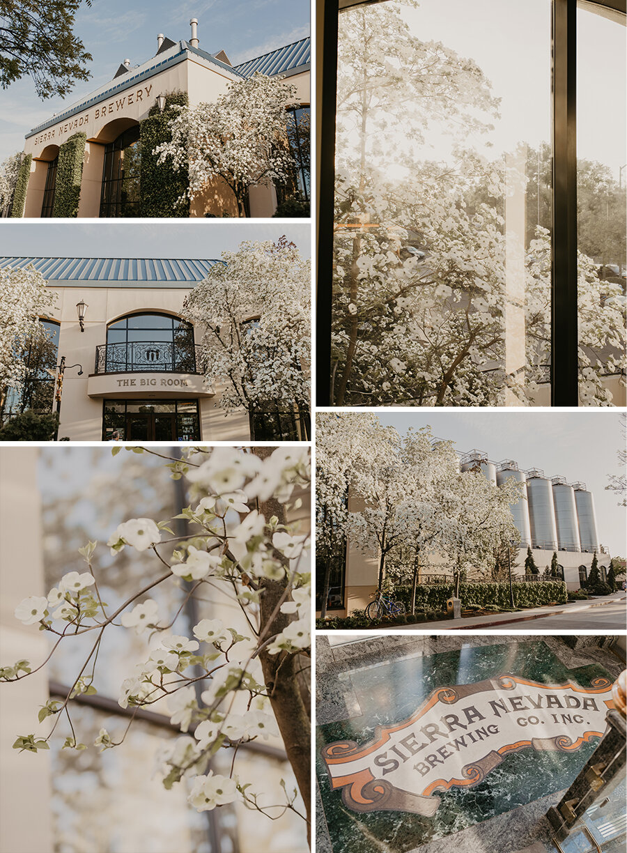Diane Nicole Photography