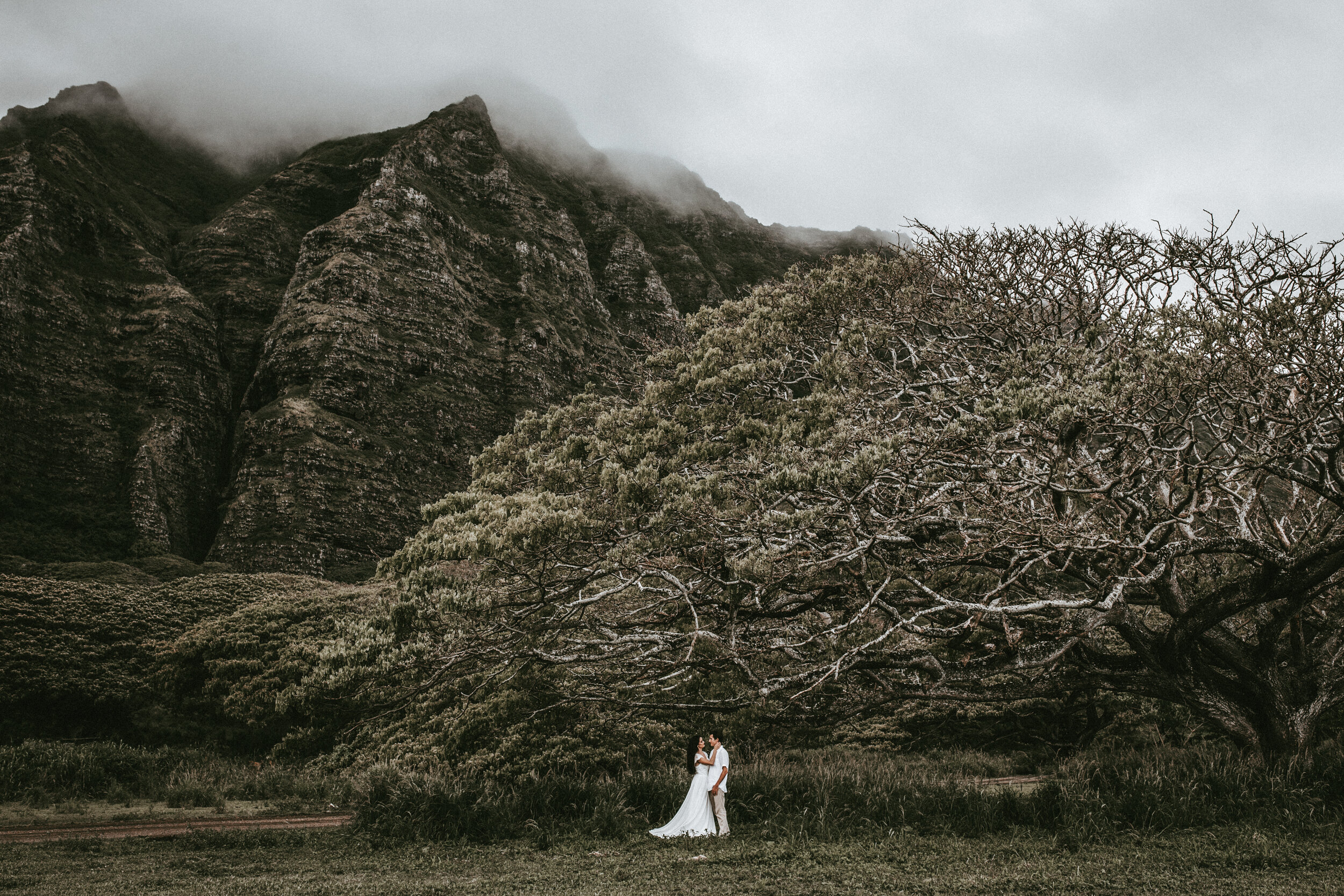wedding photographer, hawaii wedding photographer, kualoa ranch wedding photographer, wedding photographer, chico photographer, portrait photographer, chico portrait photographer, Chico California wedding photographer, northern California wedding photographer, wedding photographer, chico wedding photographer
