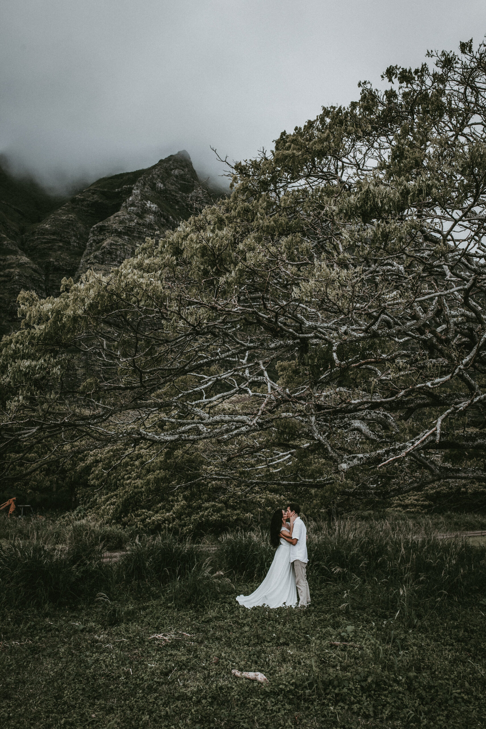 wedding photographer, hawaii wedding photographer, kualoa ranch wedding photographer, wedding photographer, chico photographer, portrait photographer, chico portrait photographer, Chico California wedding photographer, northern California wedding photographer, wedding photographer, chico wedding photographer